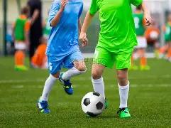 鲁豫担任董,事的公司被,执行,大发彩票,大发彩票官网,dafa大发彩票官网,大发彩票官网玩家首选