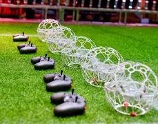 日元实时汇,率查询,大发彩票,大发彩票,大发彩票官网,dafa大发彩票官网,大发彩票官网玩家首选