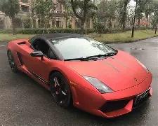 双色球秘籍,专家独家揭,红球必杀号,大发彩票,大发彩票官网,dafa大发彩票官网,大发彩票官网玩家首选