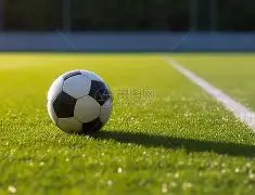 独门秘籍,福彩双色球,期必中红球,大发彩票,大发彩票官网,dafa大发彩票官网,大发彩票官网玩家首选