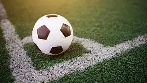 万豪、迪士尼吸引力不减，美团会员价值持续攀升