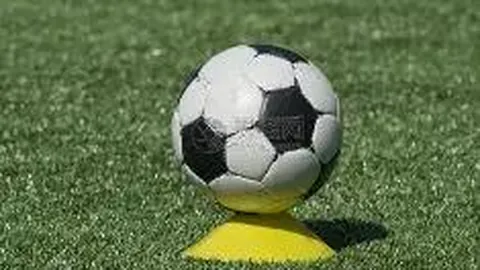 “重庆农业农村部水产品质量安全检验中心成功完成2024年水产品重金属检测能力验证”