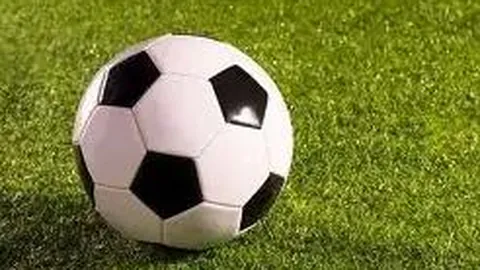 《濛言濛语爆红揭秘：为何成为热议话题？》