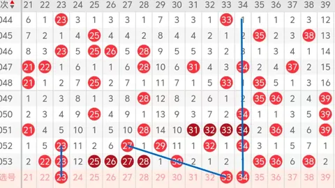 华安专家预测2026023期大乐透：前区杀号定胆10 25 